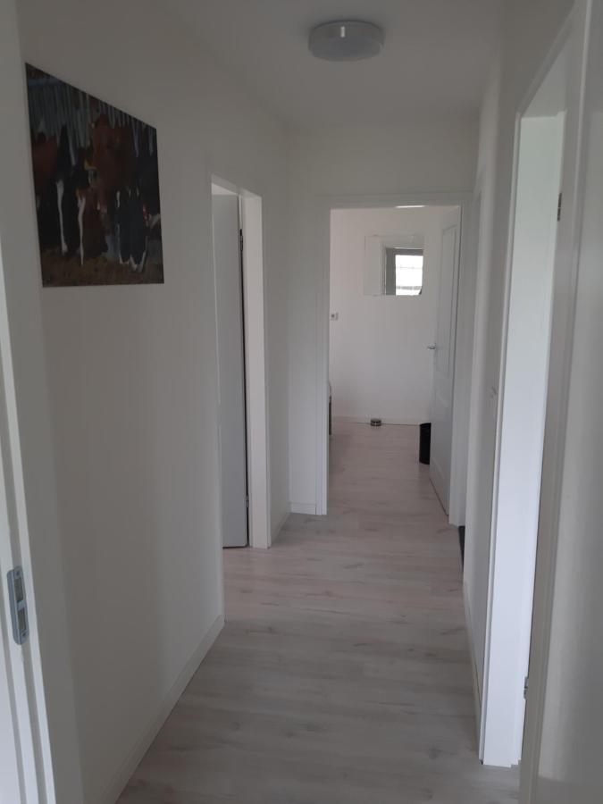 Iefjeshoeve Petten Exterior foto